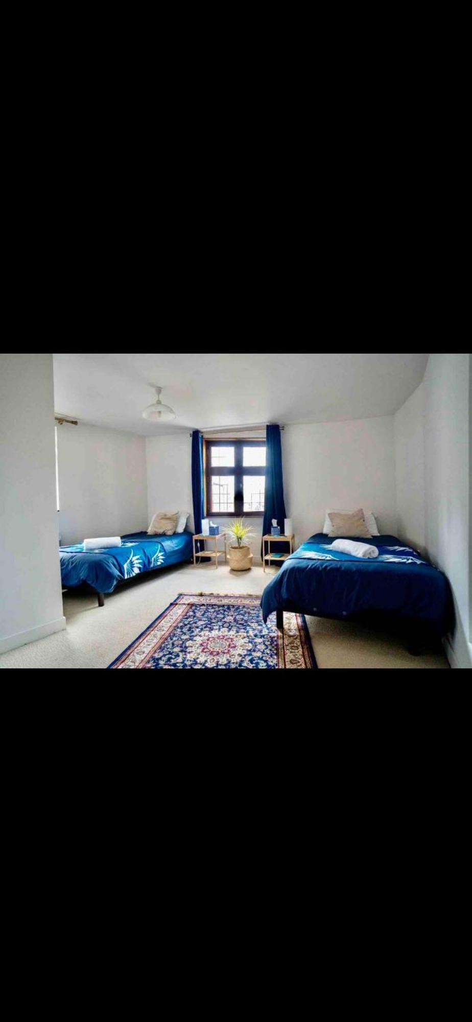 Le Bateau Ivre- Historique Apartment
